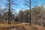 photo thumbnail #15
