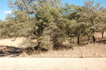 photo thumbnail #13