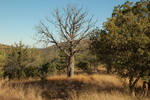 photo thumbnail #8