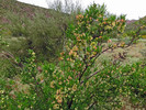 photo thumbnail #13