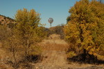photo thumbnail #14