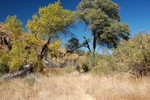photo thumbnail #15