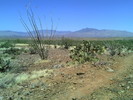 photo thumbnail #7