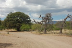 photo thumbnail #5