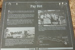 photo thumbnail #6