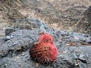 photo thumbnail #9