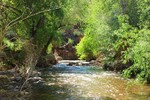 photo thumbnail #10