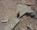 photo thumbnail #13
