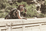 photo thumbnail #2