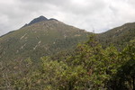 photo thumbnail #10