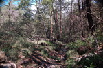 photo thumbnail #11