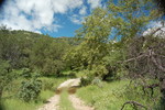photo thumbnail #3