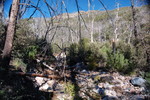 photo thumbnail #11