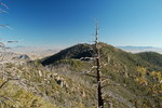 photo thumbnail #7