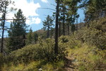 photo thumbnail #12