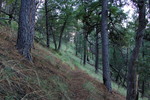photo thumbnail #7