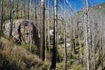 photo thumbnail #15