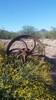photo thumbnail #6