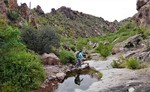 photo thumbnail #5