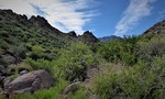 photo thumbnail #14