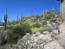 photo thumbnail #2