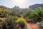 photo thumbnail #5