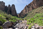 photo thumbnail #12