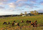 photo thumbnail #8