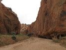 photo thumbnail #15