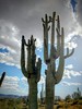 photo thumbnail #11