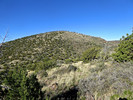 photo thumbnail #5