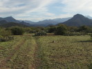 photo thumbnail #6
