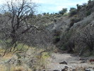 photo thumbnail #11
