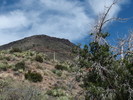photo thumbnail #13