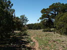 photo thumbnail #14