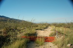 photo thumbnail #4