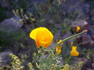 photo thumbnail #3