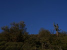 photo thumbnail #6