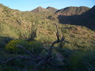 photo thumbnail #1