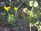 photo thumbnail #13