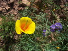 photo thumbnail #15