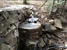 photo thumbnail #3