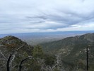 photo thumbnail #4