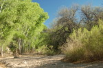 photo thumbnail #4