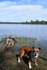 photo thumbnail #1