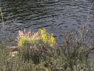 photo thumbnail #14