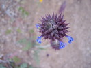 photo thumbnail #13