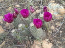 photo thumbnail #1