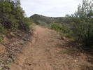 photo thumbnail #7