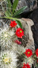 photo thumbnail #6